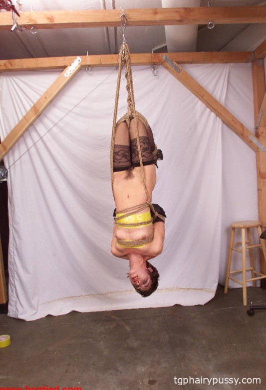 связанная вива