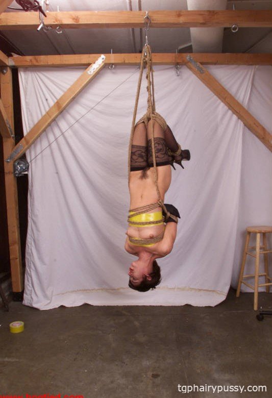 связанная вива