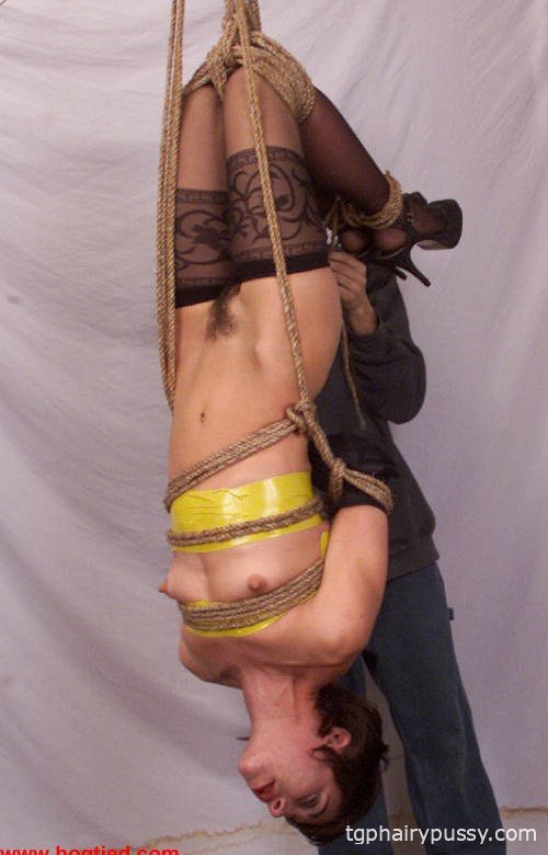 связанная вива