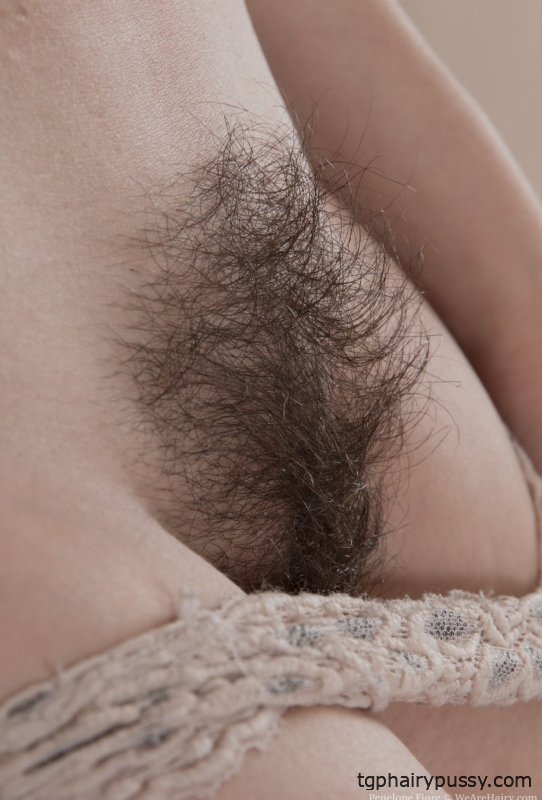 Волосатая любительница Пенелопа Фиоре освобождает свою волосатую щель от кружевных трусиков
