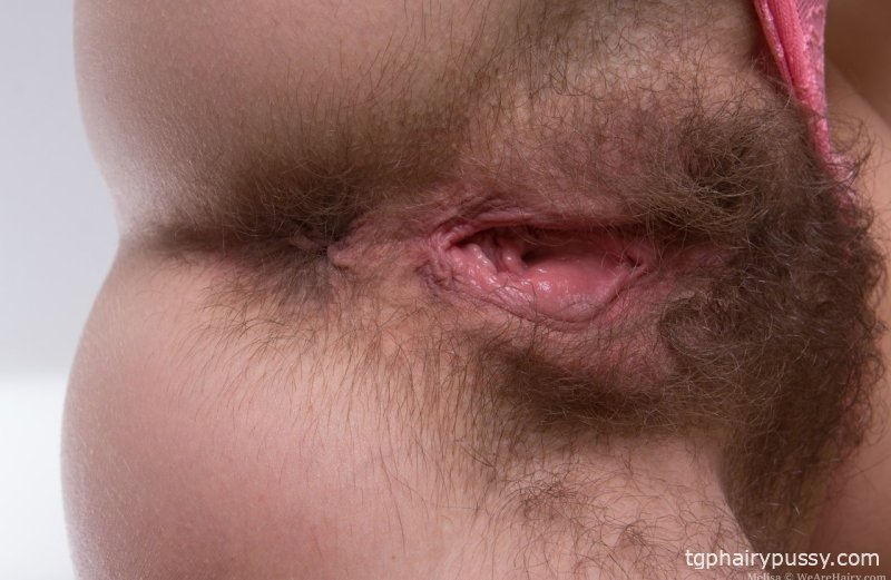 Мелиса растягивает губы киски как резинку для противного волосатого бобра крупным планом