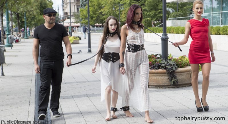 Public Disgrace Angel Rush, Антонио Росс, Cherry Kiss, Lyen Parker, Steve Holmes