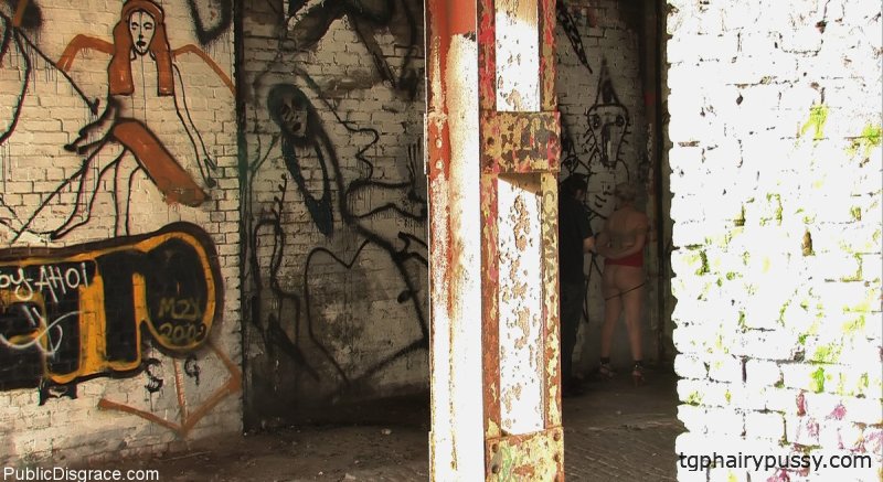 Публичный позор Китти, Стив Холмс