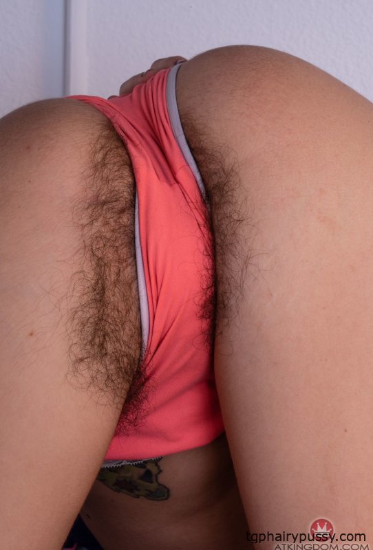 ATK Волосатый жемчужный шалфей