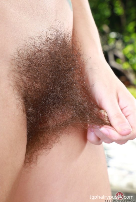 ATK Волосатый жемчужный шалфей