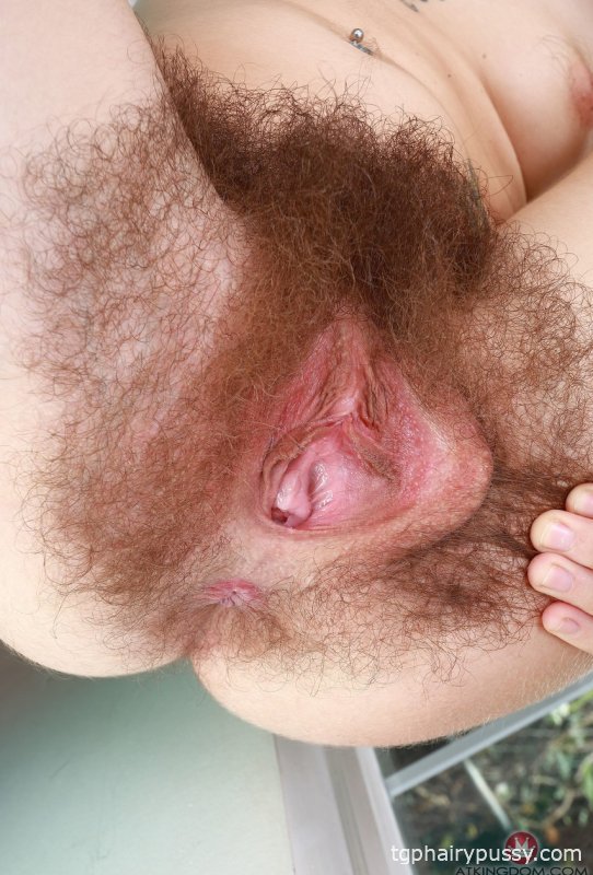 ATK Волосатый жемчужный шалфей