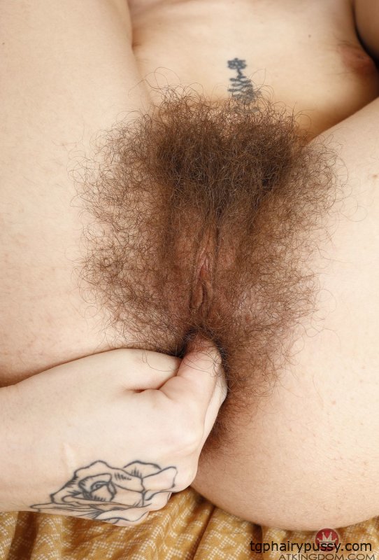 ATK Волосатый жемчужный шалфей