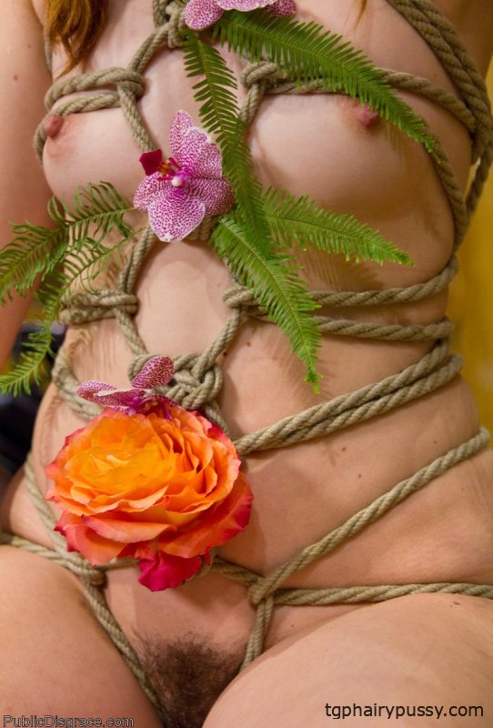 Публичный позор Дейзи Дукати, Джоди Тейлор, Джульетт Марч, Карло Каррера, Стив Холмс