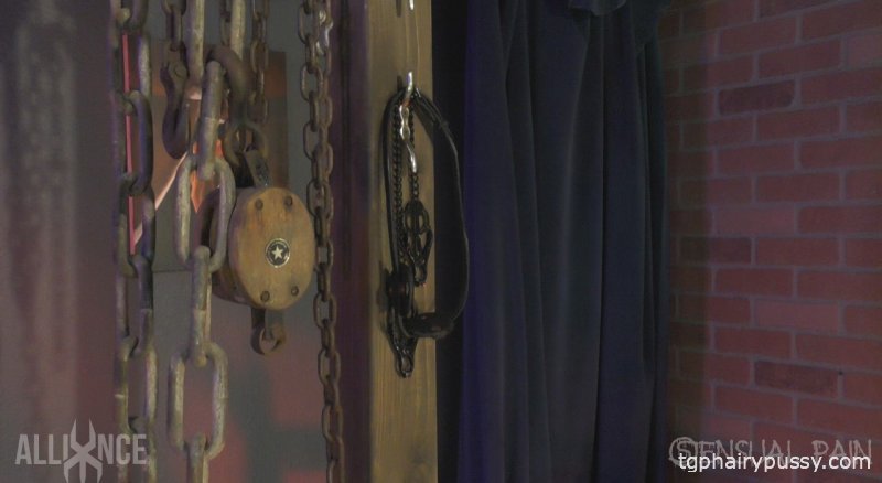 Рабыня с пирсингом и ошейником Abigail Dupree, связанная цепями и ремнями и выпоротая