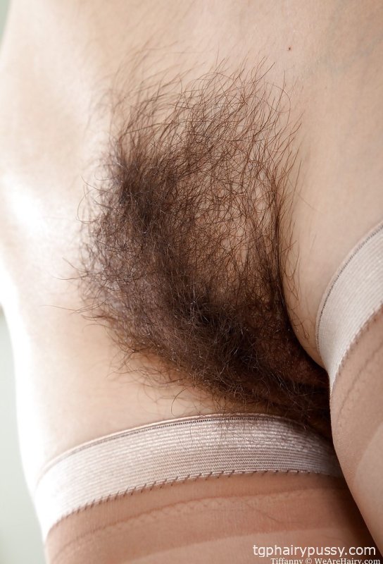 Фокси-крошка-брюнетка в нейлоновых чулках стягивает платье и трусики