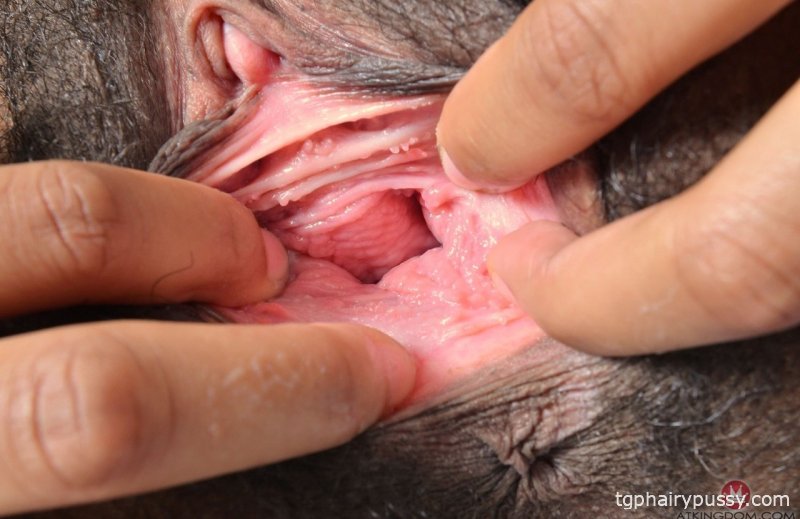 Экзотическая чернокожая девица Оливия Грин показывает свою бесконечную зияющую любовную дырку крупным планом